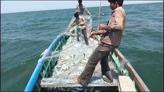 Haw To Deep Sea Fishing Trips Mangrol Bara Sea Fishing Amazing [upl. by Tremml715]