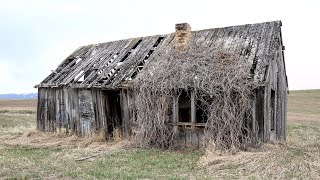 Metal Detecting Abandoned Houses amp Old School BIG MONEY [upl. by Ahtelahs]