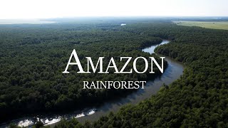 Amazon Rainforest 4K  Nature Sounds [upl. by Bathsheb73]