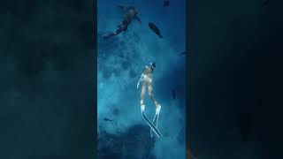 Swimming with Beautiful Fish  A Mesmerizing Underwater Adventure [upl. by Anirahc]