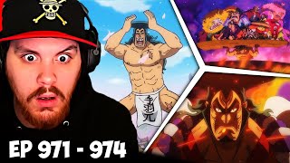 One Piece Episode 971 972 973 974 Reaction  Oden Wouldnt Be Oden If It Wasnt Boiled [upl. by Larry]