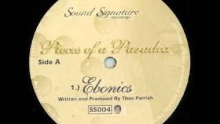 Theo Parrish  Ebonics [upl. by Kinimod28]