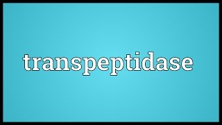 Transpeptidase Meaning [upl. by Neil]