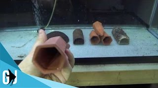 393 Cheap Alternative Pleco Crayfish Shrimp Cave  Tank Tip [upl. by Dawn]