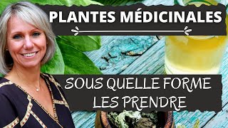 Plantes Médicinales  Sous quelle forme sontelles plus efficace [upl. by Rondon]