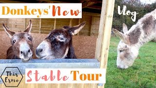 NEW Donkey Stable TOUR  Barn Vlog  This Esme [upl. by Stevie]