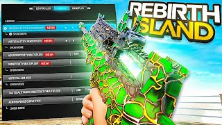 NEW BEST SETTINGS for REBIRTH ISLAND 👑 Warzone Graphics Controller Console PC  MW3 [upl. by Faith]