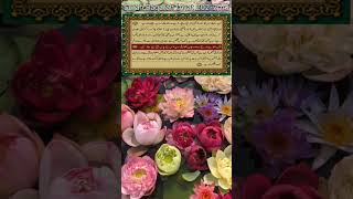 Surah Baqarah Ayat 202204 urdu translation shorts shortvideo surahbaqarah subscribe [upl. by Dusen]