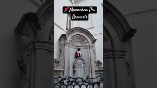 Manneken Pis Brussels Belgium belgium travel mannekenpis city landmarks tourist [upl. by Madox825]