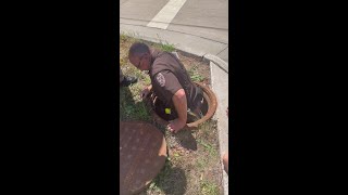 Outagamie Co Sheriff saves ducklings [upl. by Dareg732]