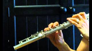 Lamberson Used Flute for Sale  Low  Mid Range Demo [upl. by Nylaj]