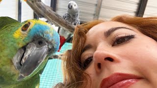 a tour of my animal sanctuary [upl. by Romilly]