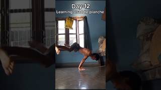 Day12 learning straddle planchecalisthenicsmotivationalnepali calisthenicscalisthenics shorts🇳🇵 [upl. by Isabel]