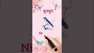 Bulbul bird in name hindi to english pronunciation🐦🥰 ytshorts [upl. by Aenahs994]