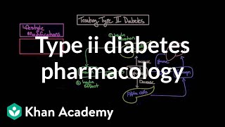 Treating type II diabetes  Pharmacology  Endocrine system diseases  NCLEXRN  Khan Academy [upl. by Itak]