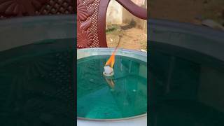 FIRE🔥🆚💦WATER experiment telugu hindi andhrapradesh odisha amma [upl. by Eilyac959]