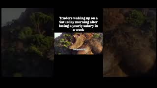 Traders after losing someone yearly salary in a week forex crypto trading dragunovtrading [upl. by Jedd]