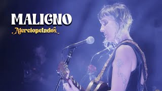 Aterciopelados  Maligno En Vivo [upl. by Enrahs254]