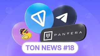 TON  Pantera Capitals Biggest Bet in 21 Years – 20M Raised  NEWS 18 [upl. by Nallak]