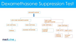 Dexamethasone Suppression Test How it is done and interpretation of the findings [upl. by Salvadore]