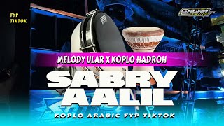 CEK SOUND SABRY AALIL ARABIC VIRAL TIK TOK HADROH NGESLOW BASS HOREG [upl. by Erdua]