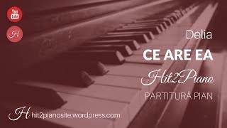 Delia  Ce are ea partitură pian  Hit2Piano [upl. by Akirdnuhs]