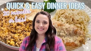 3 INSANELY quick and EASY 20 minute meals🤤  Easy Weeknight Meals your whole family will LOVE [upl. by Akciret]