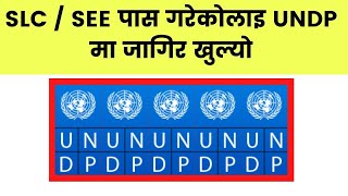 UNDP मा जागिर खुल्यो  UNDP Nepali Driver Job Vacancy [upl. by Niwred]