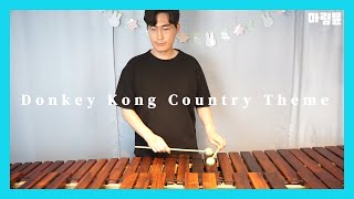 Donkey Kong Country Main Theme Marimba Cover [upl. by Ludwog]