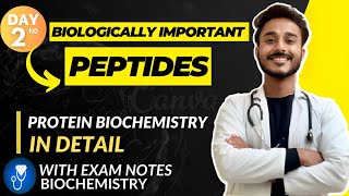 biologically important peptides biochemistry  functions of glutathione  protein biochemistry [upl. by Maddocks261]