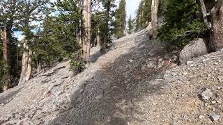 Exploring Charleston Peak – South amp North Loop Trail Guide [upl. by Aneeras843]