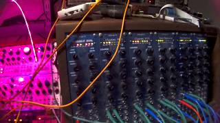 Wiard 300 Sequence  modular synth [upl. by Woodward494]