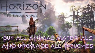 Horizon Forbidden West  Location to Buy All Animal Materials to Quickly Upgrade All Pouches [upl. by Ashok]