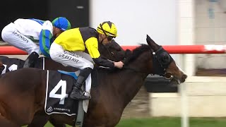 Gr1 Arrowfield Stud Plate  One Bold Cat [upl. by Garwin]