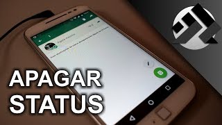 Como apagar status no Whatsapp Excluir apenas um ou todos  Jeovaci Ribeiro [upl. by Ehttam]