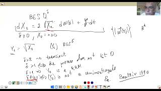 Andrey Pilipenko On SDE for lowdimensional Bessel processes [upl. by Ynar]