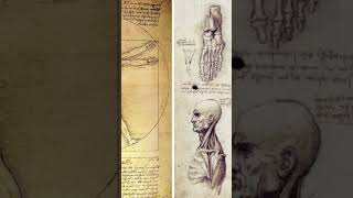 The most priceless book from Leonardo da Vinci to Bill Gates shorts [upl. by Valenba]