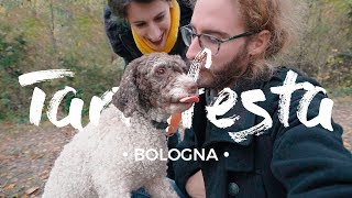 CACCIA AL TARTUFO sui colli bolognesi 🐕 ENG subs [upl. by Montgomery]