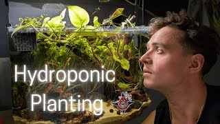 Adding HydroPonic Planting To A Mature Aquascape [upl. by Genevieve]