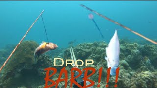 Spearfishing Bontoc and Macrohon Southern Leyte  SilentHunter Bogoi  SB69 [upl. by Akir]