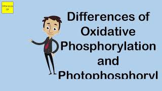 Differences of Oxidative Phosphorylation and Photophosphorylation [upl. by Lael]