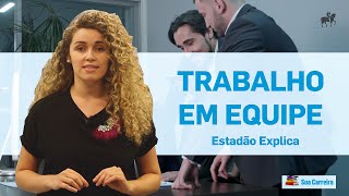 Sua Carreira como trabalhar em equipe [upl. by Akirdna]