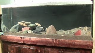 How to Clean Sand and Set Up an Aquarium [upl. by Yrtua138]