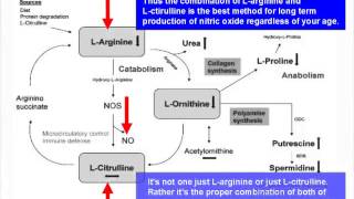 The Truth About LArginine [upl. by Felecia]