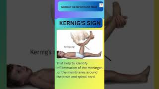 Kernigs Sign Norcet 08 Image Base Question ytshorts [upl. by Nnayr]