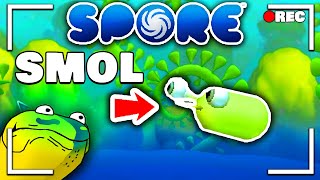 Spore The Evolution of the SMALLEST Species FULL STREAM [upl. by Kalbli]