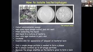 Phage Bacteriophage Therapy [upl. by Chow524]