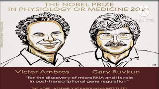 The Novel Prize in Physiology or Medicine2024 novel [upl. by Annek]