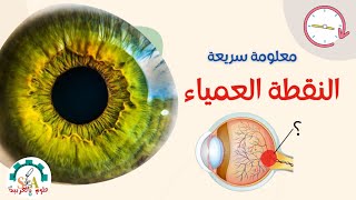 علوم بالعربية  معلومة سريعة مفهوم النقطة العمياء  blind spoot [upl. by Sheply]