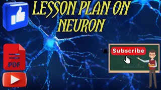 LESSON PLAN ON NEURONclass678science lesson plan with complete information and pdf of lessons [upl. by Inglebert]